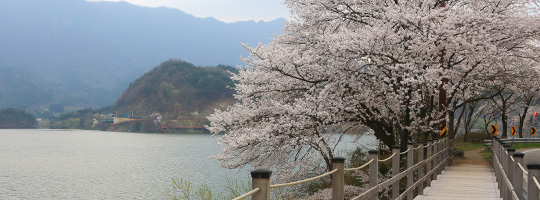 오솔길 제2코스 내장저수지